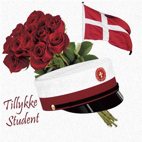 20 stk Tillykke Student servietter - Rød hat 20 stk Tillykke Student servietter - Rød hat