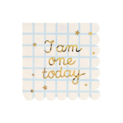 12 stk. I am one today" Servietter – 33x33 cm – Perfekt til 1-års fødselsdag
