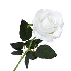 1 stk. Creme Rose på stilk. Evig Skønhed i Kunstig Form, 50 cm
