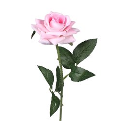 1 stk. Velvet Rose Rosa på stilk. Tidløs Elegance i Kunstig Dekoration, 50 cm