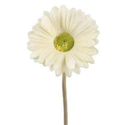 1 stk. Gerbera Creme kunstig 37 cm - Blomsterbinding og Festlige Anledning.