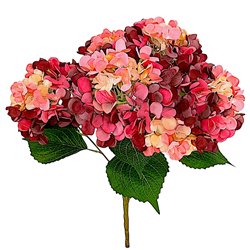 1 stk. Bordeaux-rosa Hortensia-buket med 5 grene og eksklusive, store blomster &ndash; 40 cm