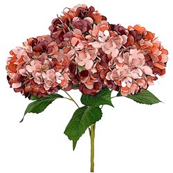 1 stk. Br&aelig;ndt lilla-orange Hortensia-buket med 5 grene og eksklusive, store blomster &ndash; 40 cm