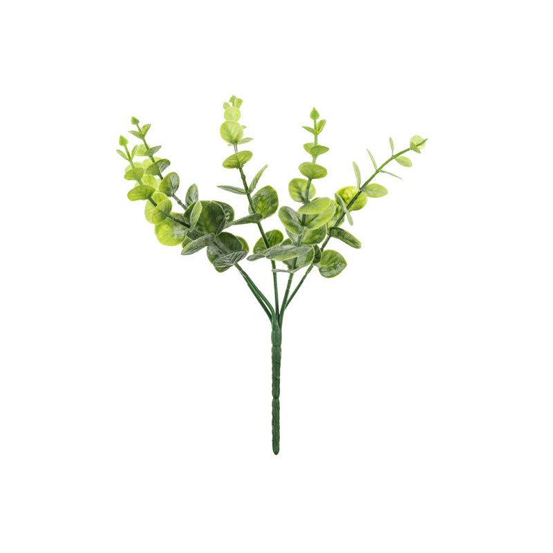 Small bouquet of branches - Eucalyptus, 27 cm