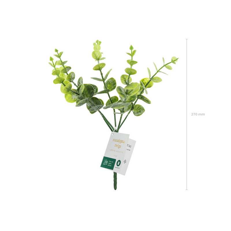 Small bouquet of branches - Eucalyptus, 27 cm Small bouquet of branches - Eucalyptus, 27 cm