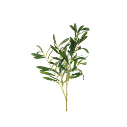 Olive branch, 91 cm Olive branch, 91 cm