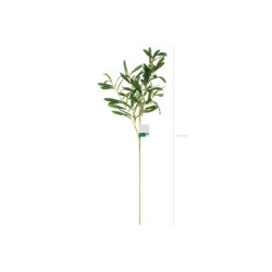 Olive branch, 91 cm Olive branch, 91 cm