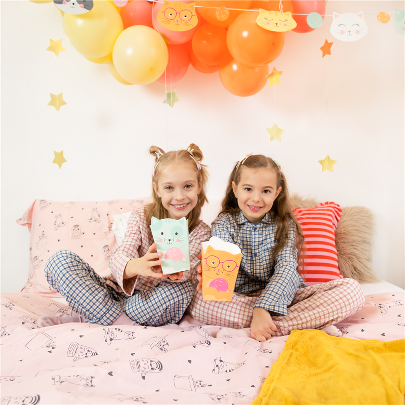 6 stk. Popcornboks Katte Tema Mixfarver – Perfekt til Børnefødselsdag & Fest 8,5x13,5 cm 6 stk. Popcornboks Katte Tema Mixfarver – Perfekt til Børnefødselsdag & Fest 8,5x13,5 cm