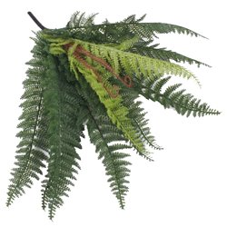 1 stk. Bregne Kunstig Naturtro og Dekorativ i 13-blade i Grøn 57 cm 1 stk. Bregne Kunstig Naturtro og Dekorativ i 13-blade i Grøn 57 cm