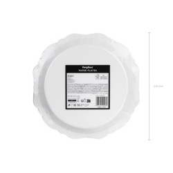 Spider Plates, 23 cm, mix (1 pkt / 6 pc.) Spider Plates, 23 cm, mix (1 pkt / 6 pc.)