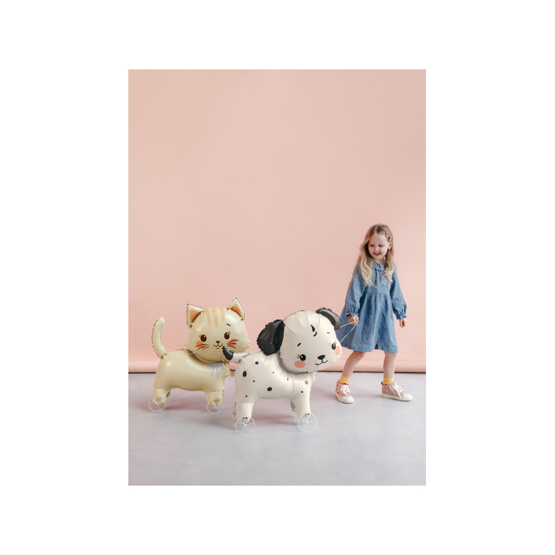 Foil balloon Cat on wheels, 61x65 cm, mix