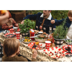 Snack buckets Check pattern, 14 cm, mix (1 pkt / 2 pc.) Snack buckets Check pattern, 14 cm, mix (1 pkt / 2 pc.)