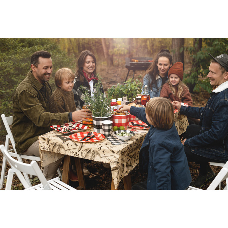 Snack buckets Check pattern, 14 cm, mix (1 pkt / 2 pc.) Snack buckets Check pattern, 14 cm, mix (1 pkt / 2 pc.)