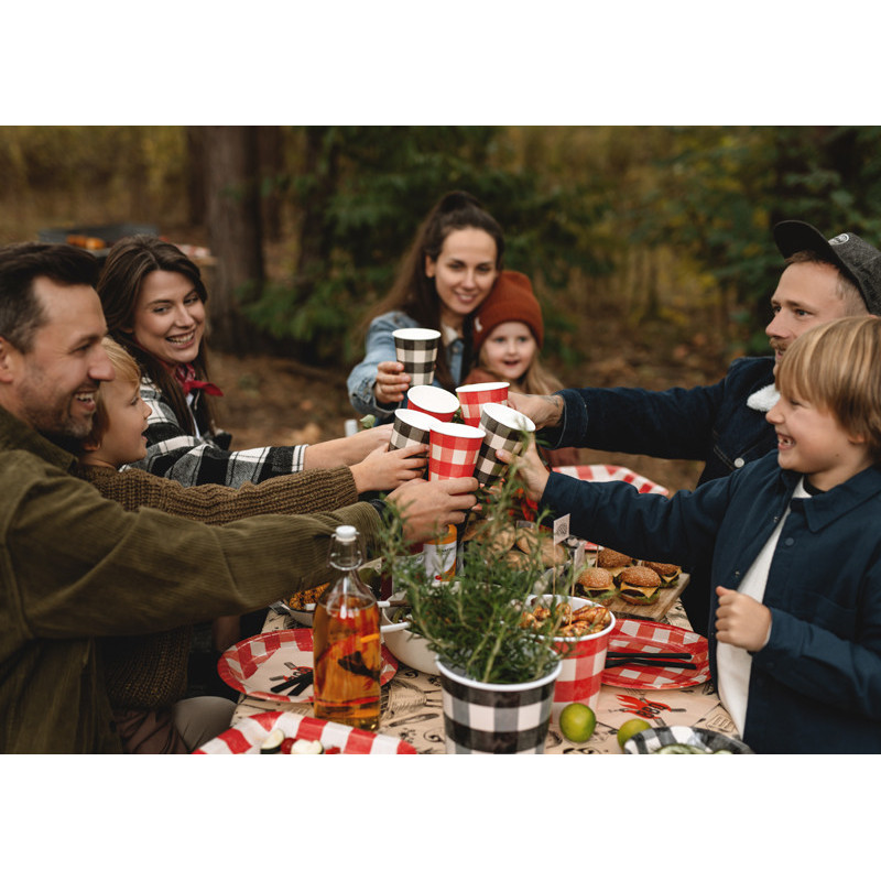 Checkered paper cups, mix, 400 ml (1 pkt / 6 pc.)