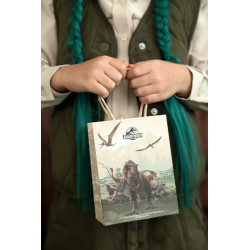 Paper gift bags Jurassic World, 12x15.5x6 cm, mix (1 pkt / 6 pc.)