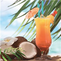 20 stk. Servietter med Cocktails Fruity Tropic 3-lags 33x33 cm
