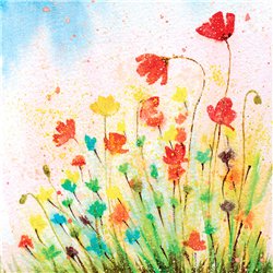 20 stk. Kaffeservietter Blomstereng Flerfarvet 24x24 cm