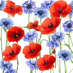 20 stk. Servietter Valmuer & Kornblomster 24x24 cm