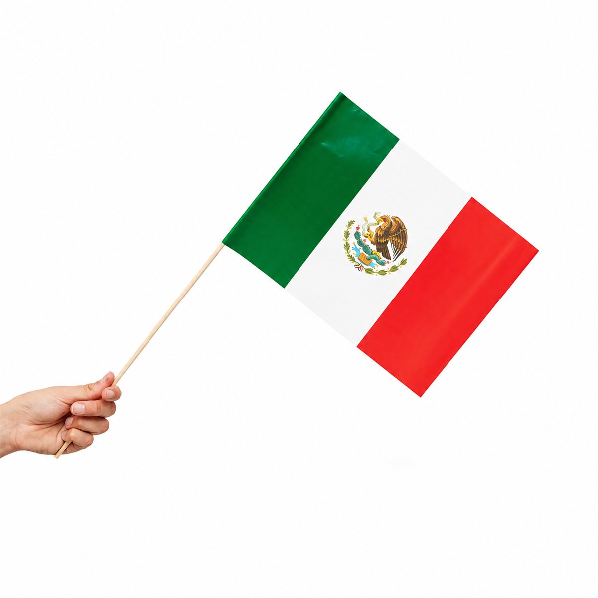 10 stk. Papirflag Mexico grøn/hvid/rød 20x30 cm 10 stk. Papirflag Mexico grøn/hvid/rød 20x30 cm