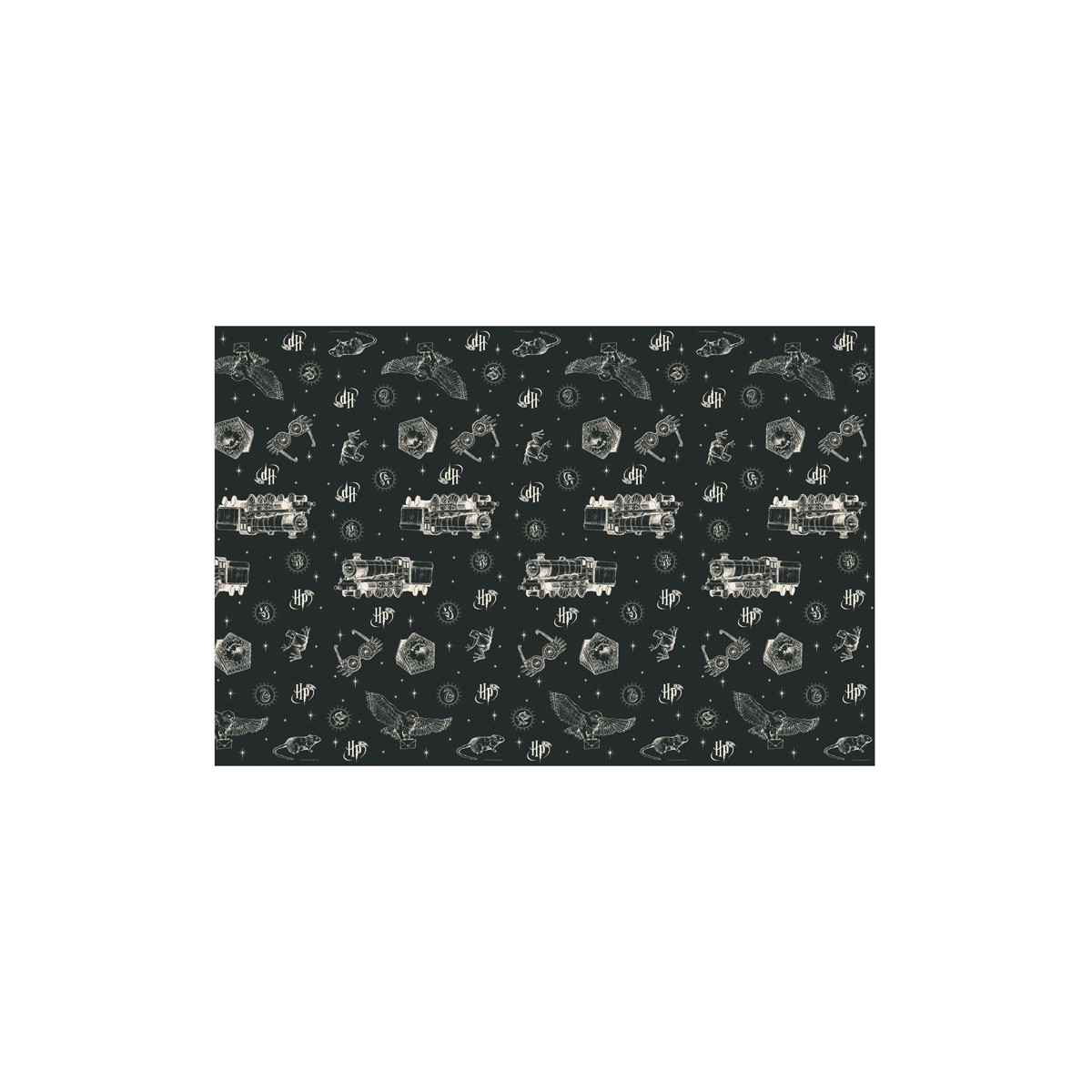 Paper tablecover Harry Potter, 180x120 cm, black Paper tablecover Harry Potter, 180x120 cm, black