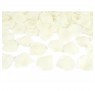 Konfettirør - Rosenblade silke Creme, 40 cm