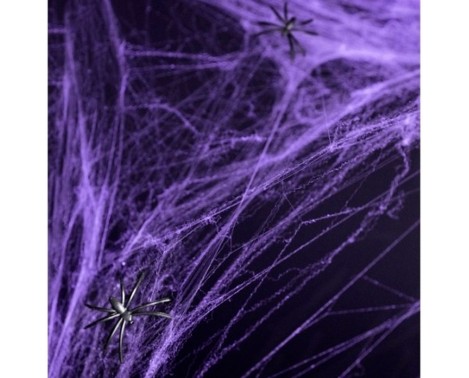 Spindelvæv Lilla m/edderkopper
