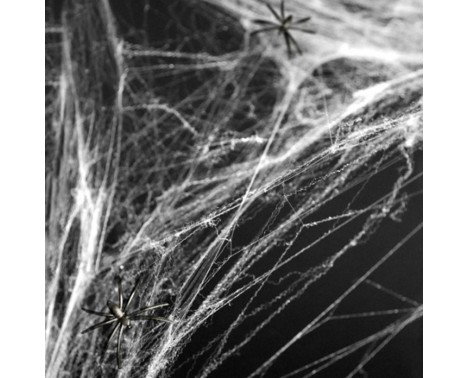 Spindelvæv hvid m/edderkopper