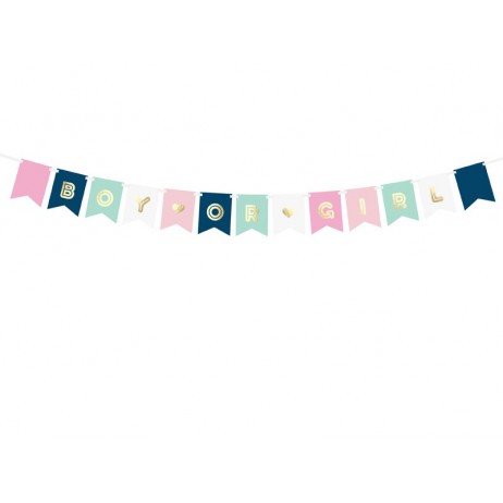 Boy or Girl banner  15 x 175 cm