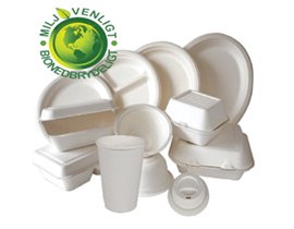 Bagasse produkter