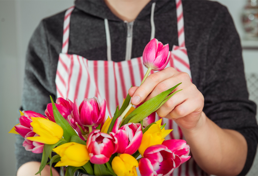 DIT Tulipan
